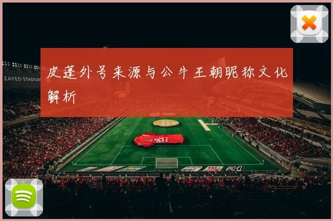 皮蓬外号来源与公牛王朝昵称文化解析
