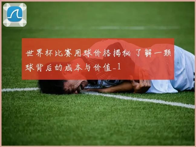 世界杯比赛用球价格揭秘 了解一颗球背后的成本与价值_1