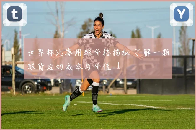 世界杯比赛用球价格揭秘 了解一颗球背后的成本与价值_1