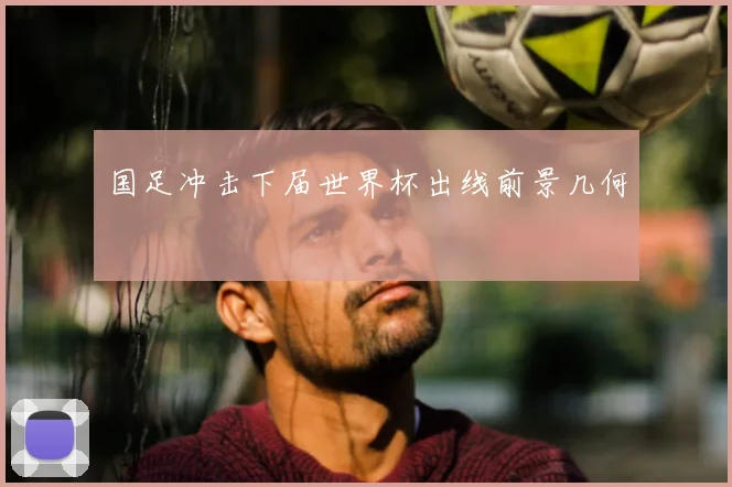 国足冲击下届世界杯出线前景几何