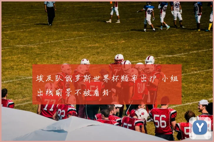 埃及队俄罗斯世界杯赔率出炉 小组出线前景不被看好