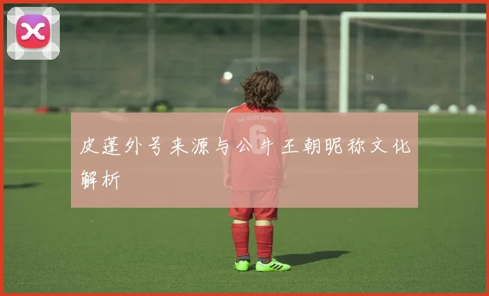 皮蓬外号来源与公牛王朝昵称文化解析